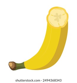 Banana slices illustration of various sizes and angles. Chopped banana pieces with peel and without peel, design icon vector illustration.