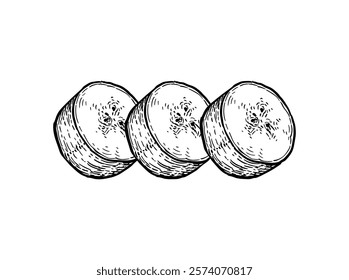 Banana slices. Ink sketch isolated on white background. Hand drawn vector illustration. Retro style.