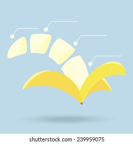 banana slices structure diagram isolated on background 