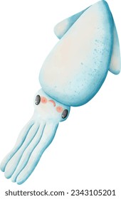 banana squid, illustration of a cartoon fish