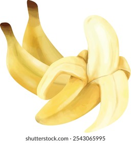 Eine Banane ist eine süße, gelbe Frucht mit einer weichen, cremigen Textur und einem natürlichen, leicht würzigen Geschmack.