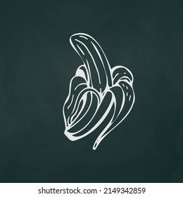 Líneas blancas delgadas de plátano sobre fondo oscuro textural - Ilustración vectorial
