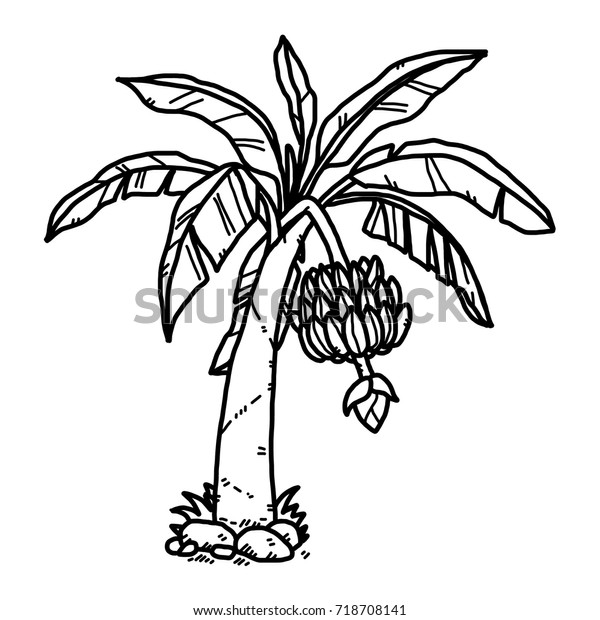 Banana Tree Cartoon Vector Illustration Black Stock Vector (Royalty ...