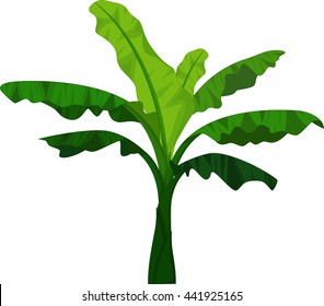 Banana Tree Cartoon For You Design