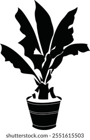 A Banana Tree Drawing Stock vector
