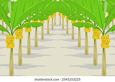 Ilustração do vetor de cultivo de banana