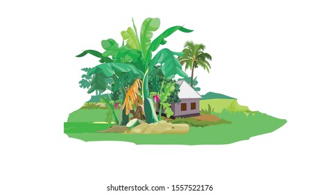 Banana tree with house  village scene with coconut tree illustration