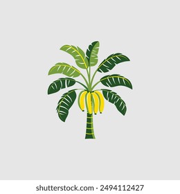 Banana tree icon. Gray background with green. Vector illustration.