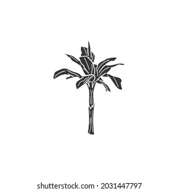 Banana Tree Icon Silhouette Illustration. Tropical Plant Vector Graphic Pictogram Symbol Clip Art. Doodle Sketch Black Sign.