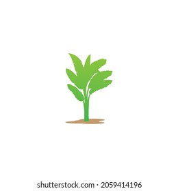 banana tree icon vector illustration symbol design.