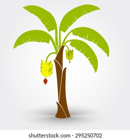 バナナの木 の画像 写真素材 ベクター画像 Shutterstock