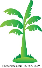 Banana tree isolated vector illustration