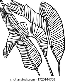 banana tree leaves. Modern single line art, aesthetic contour. Perfect for home decor such as posters, wall art, tote bag, t-shirt print, sticker, mobile case, coloring. Doodle. Vector illustration.
