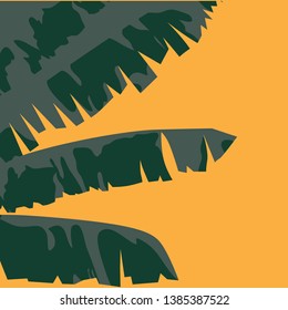 banana tree leaves, vector illustration 