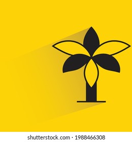 banana tree with shadow on yellow background