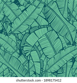 Patrón vectorial transparente de hojas tropicales de árboles plátanos. El fondo veraniego al estilo de la jungla. Para relajarse y viajar.