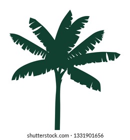 banana tree, vector