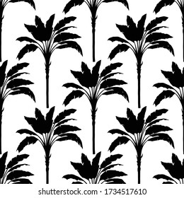 Banana tree vector black and white seamless pattern.