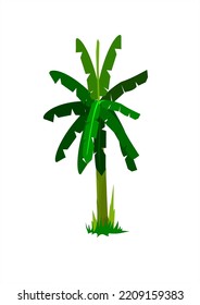 Banana tree vector, bright green, used for agricultural and landscape illustration.