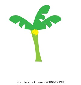 banana tree or tree vector illustration