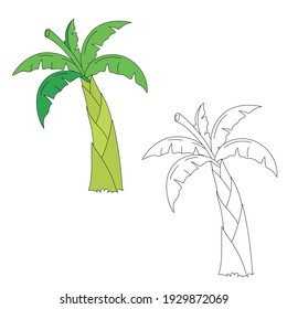 Banana tree vector illustration without fruit.