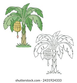 banana tree vector illustrations. Simple Design Outline Style. You can give color you like. drawing with line-art on white backgrounds.