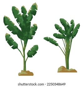 banana tree vector. with a modern design.