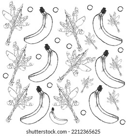 Banana and tree vector pattern and background. Linear design, one color.