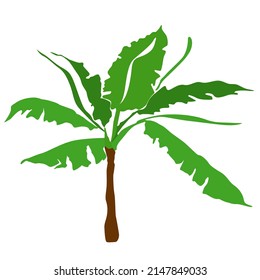 Banana tree vector single element.