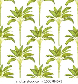 Banana tree vector with watercolor effect seamless pattern on white.