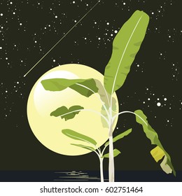 Banana trees and moon space background