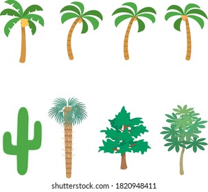 
Banana trees, palm trees, cacti, etc.