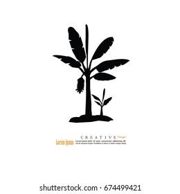 banana tree.vector illustration.