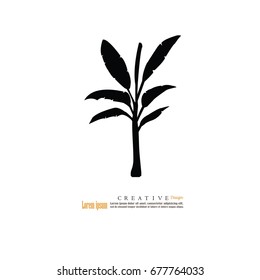 banana tree.vector illustration.