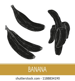 Banana. Tropical Fruit. Black silhouette on white background. Set.