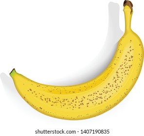 Banana tropical fruit realistic vector