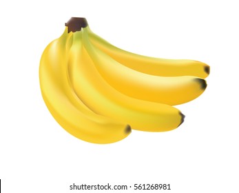 Banana vector