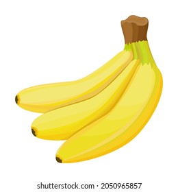 Banana. Vector. Banana bunch on white background. Hand-drawn. Can be used to create collages in illustrations and web design.