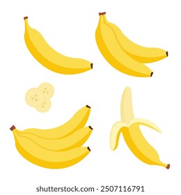 Banana vector cartoon isolated icon. Flat banana logo clipart object fruit bunch.