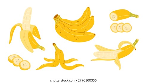 Banana vector clipart bundle featuring bunch of bananas, half peeled fruits, sliced round chunks, empty banana peel. Flat style illustration set for tropical food branding, packaging, recipe design