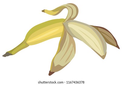 Banana. Vector colorful illustration isolated on white background.