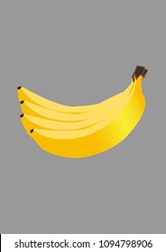 banana vector drawing. banana. fruit