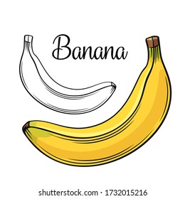 Symbol für Bananenvektorzeichnung. Handgezeichnete tropische Früchte im Retro-Stil, Illustration für Design-Werbung Produkte Shop oder Markt.