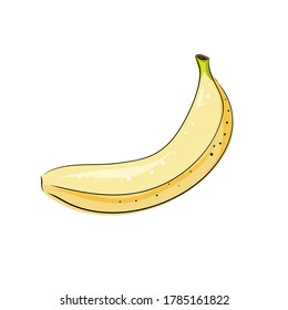 Banana vector drawings. Isolated hand drawn banana Summer whole fruit art style illustration. Detailed vegetarian food. Great for label, poster, print.