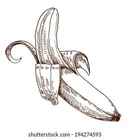 Banana, Vector Hand Drawing 