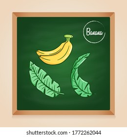 banana vector with hand drawn style on green chalkboard background