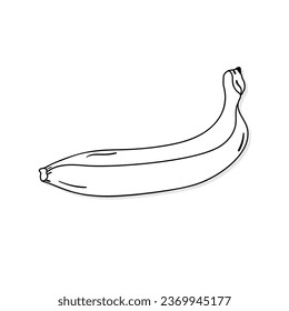 Banana vector icon in doodle style. Symbol in simple design. Cartoon object hand drawn isolated on white background.