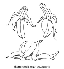 Banana vector illustration