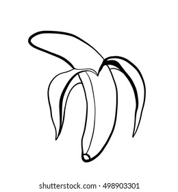 Banana vector illustration 