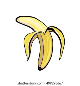 Banana vector illustration 